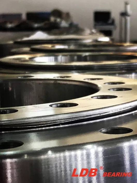 ldb-bearing-08-529x705.jpg